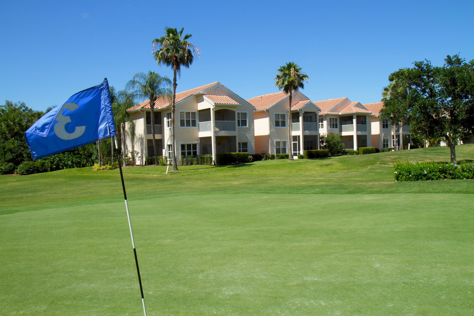Listing Banner