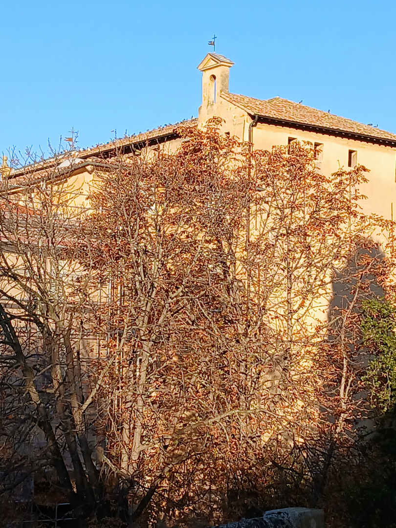 Listing Banner