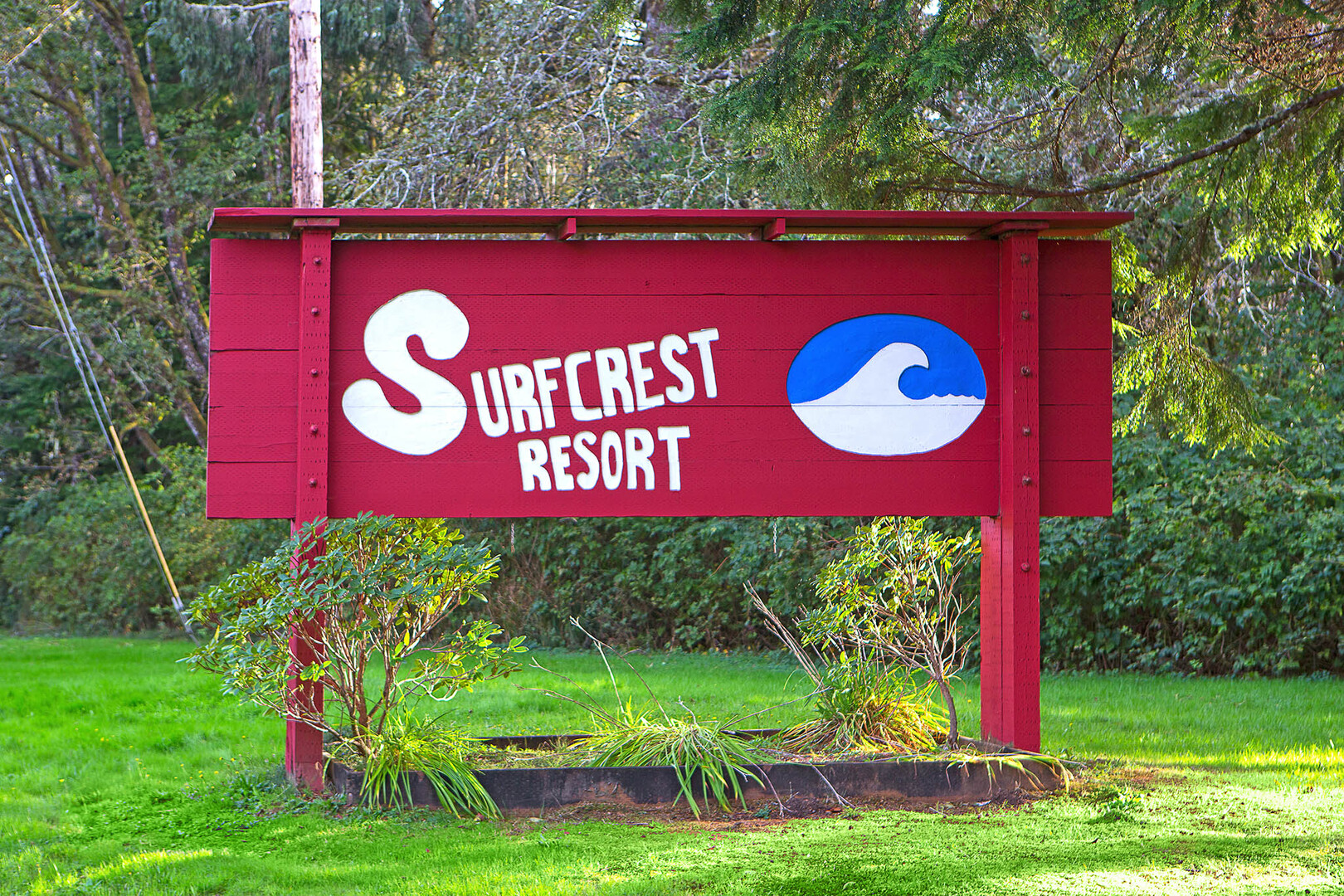 Listing Banner